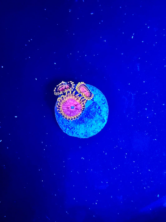 Pink diamonds